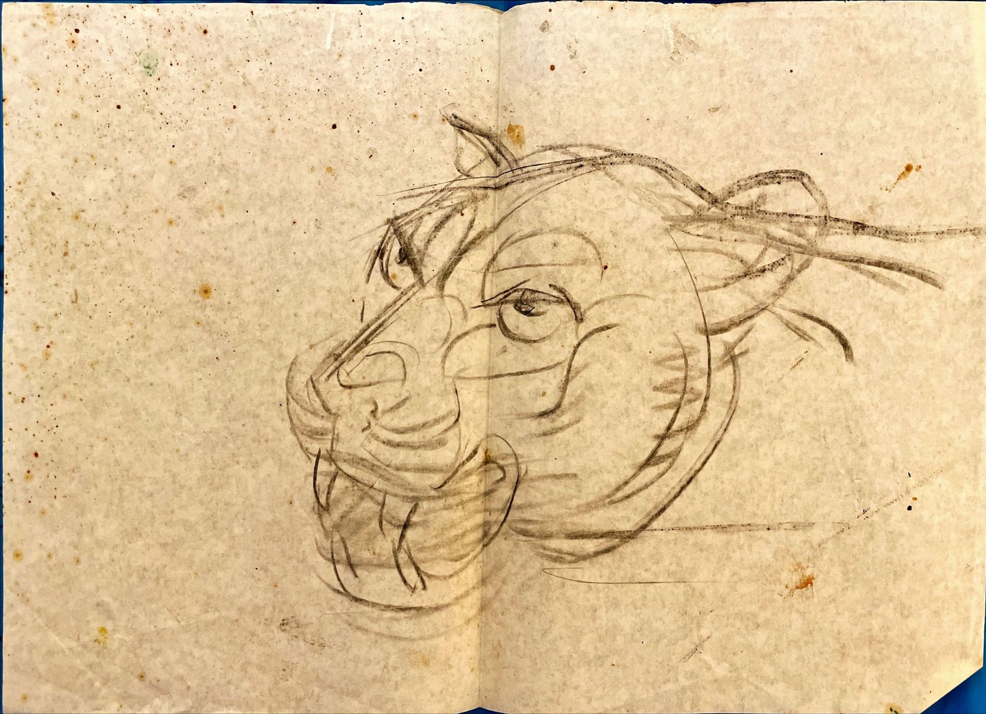 Provenance of a drawing